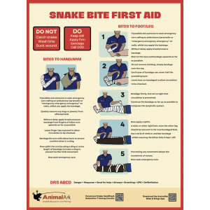 Snake Bite First Aid Poster